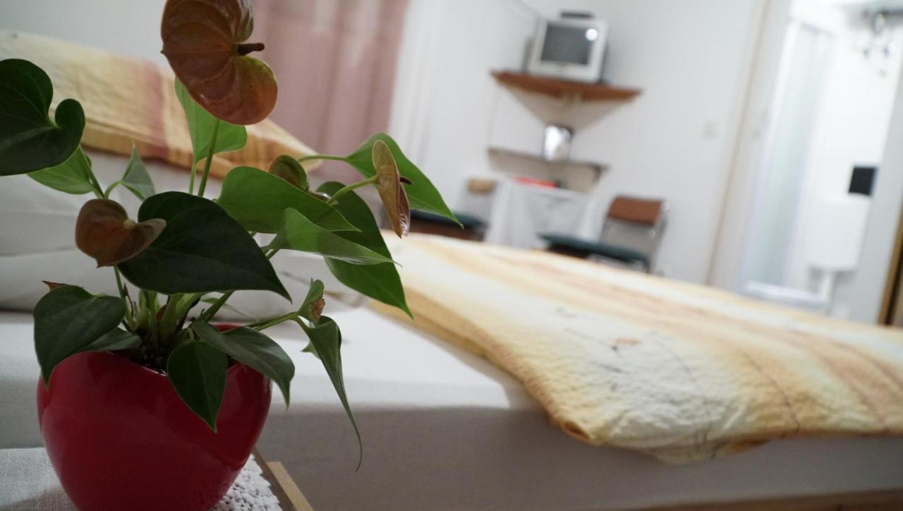 Apartments Nera Zágráb Kültér fotó